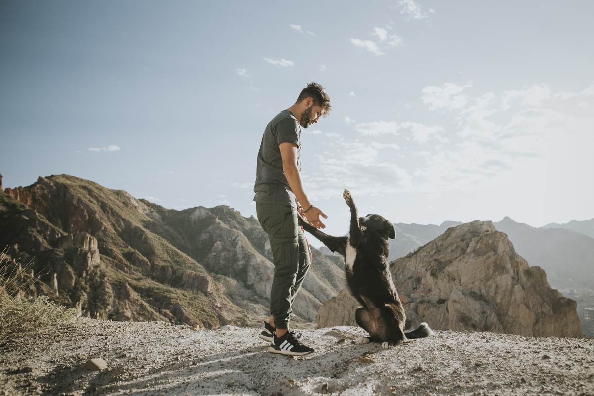 sesion de mascotas la paz , pkl fotografia, fotografia de familias, fotografia de mascotas la paz bolivia 