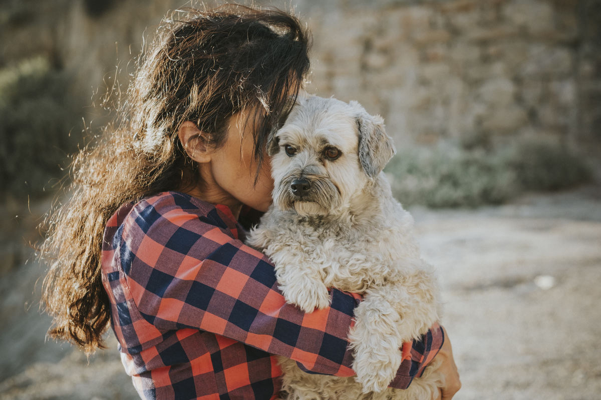 sesion de mascotas la paz , pkl fotografia, fotografia de familias, fotografia de mascotas la paz bolivia 