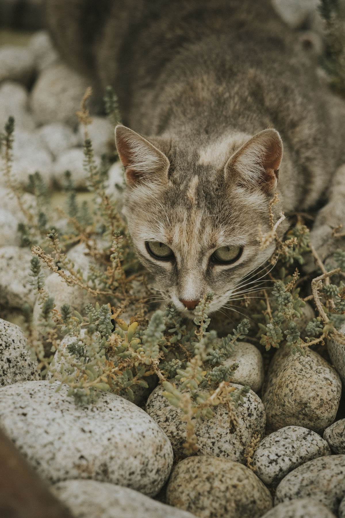 la paz bolivia, uyuni salt flats, slat flats wedding, boda salar de uyuni, destination wedding bolivia, Hotel Palacio de sal
