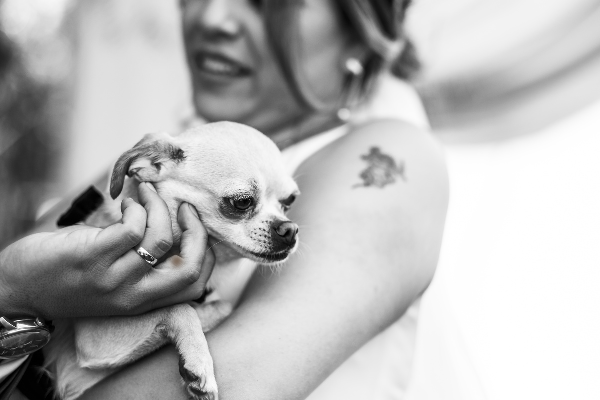 Boda de jardin intima en casa la paz bolivia, fotografode bodas la paz bolivia 
