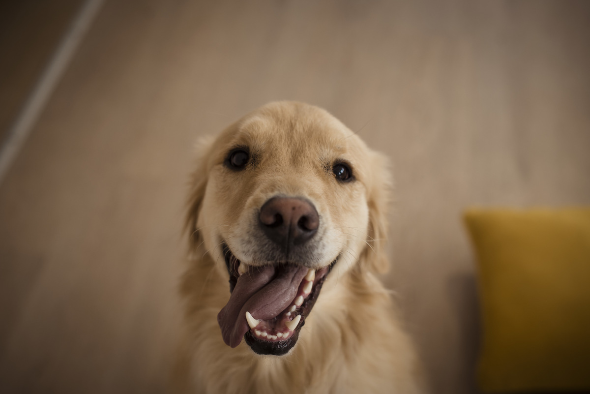 sesion de cumpleaños, la paz bolivia, fotografo profesional