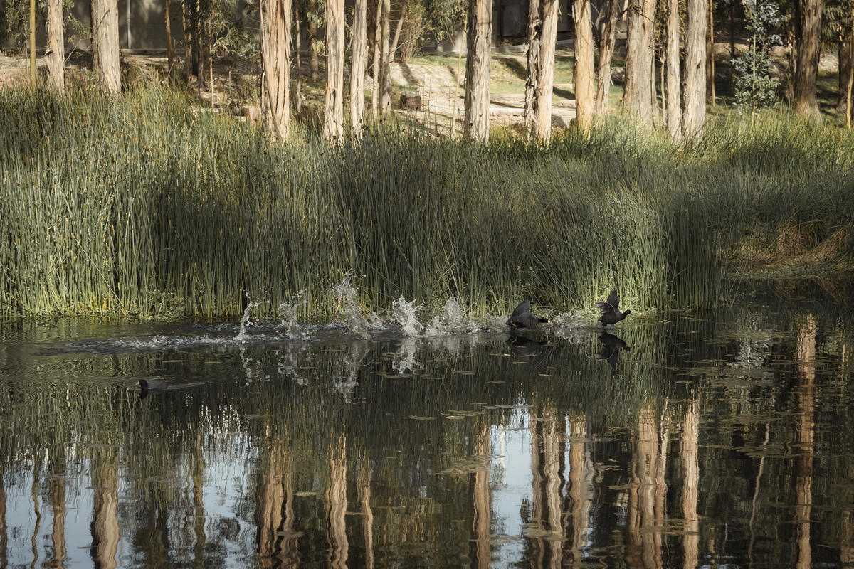 sesion de embarazo, sesion de maternidad, la paz bolivia, achocalla