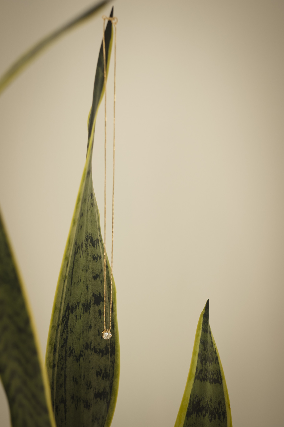 boda cristiana- boda club naval, boda la paz bolivia, fotografo de bodas la paz, bolivia. 