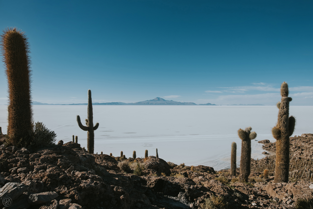 Uyuni Salt Flats photoshoot, wedding photographerBolivia, Uyuni Bolivia, Salar de uyuni Bolivia Salt Flats