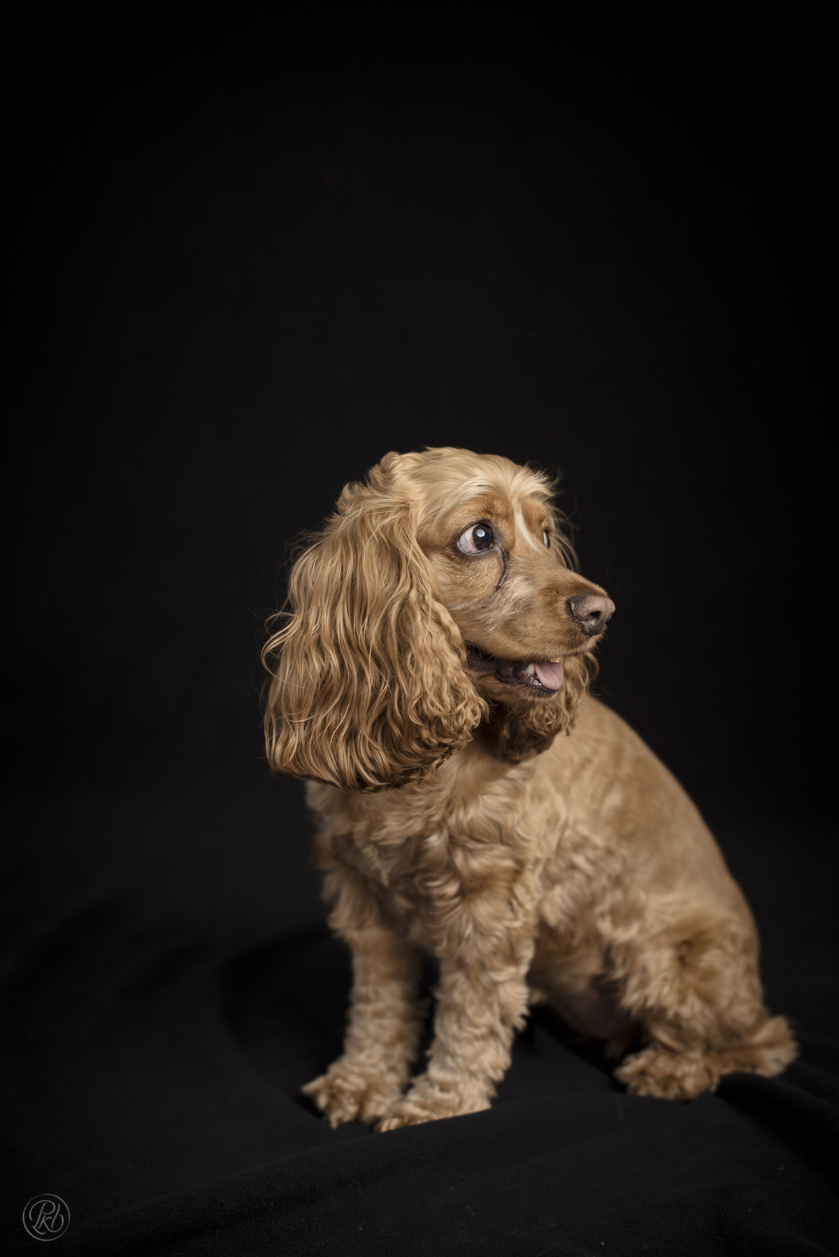 Fotografía de bebes, fotografia de  familias La Paz Bolivia Bebes de 6 meses Pkl Fotografía 