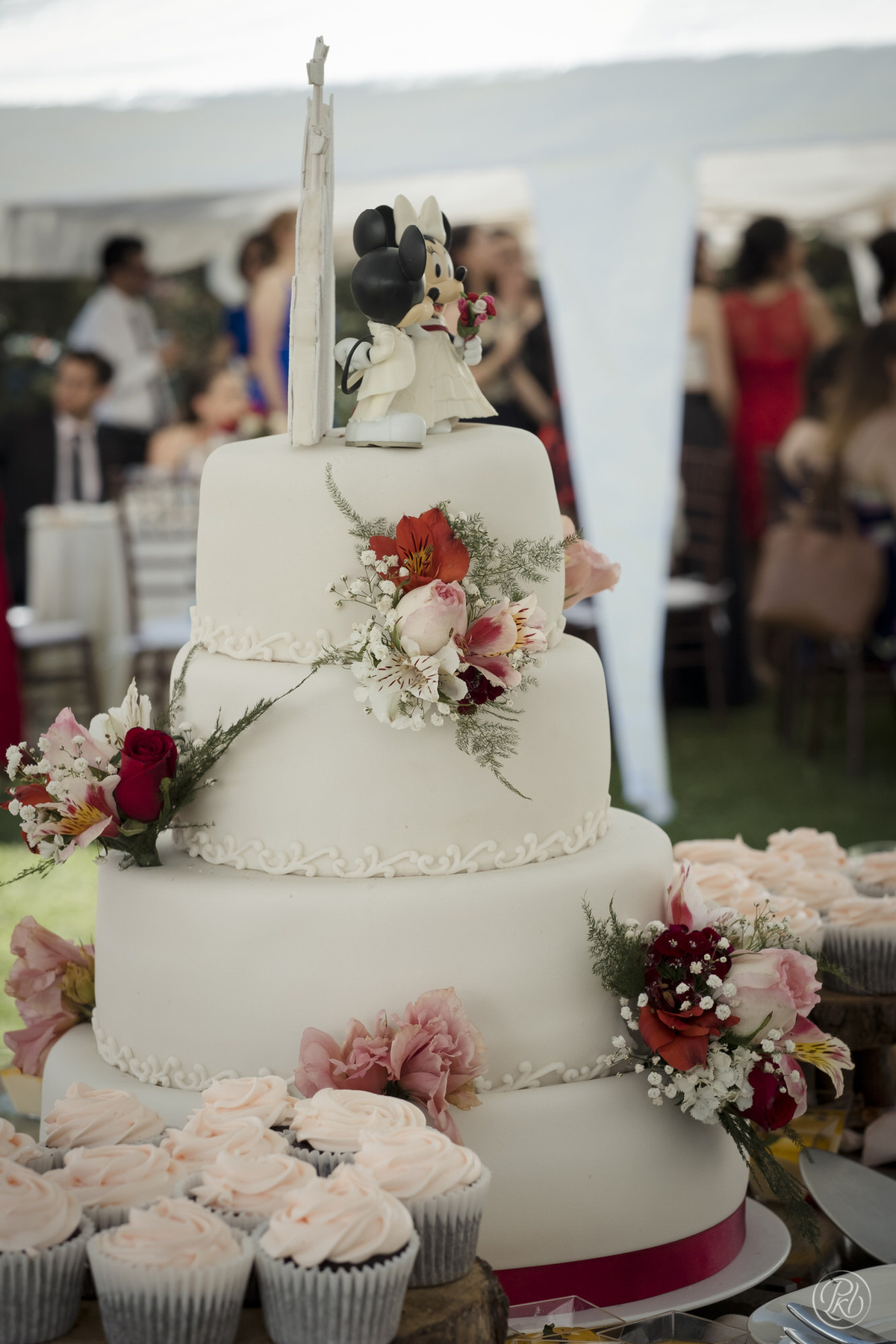 fotografia de bodas en La Paz Bolivia, fotografo de bodas La Paz, bodas la paz. pkl fotografia , decoración de cuentos de hadas disney 