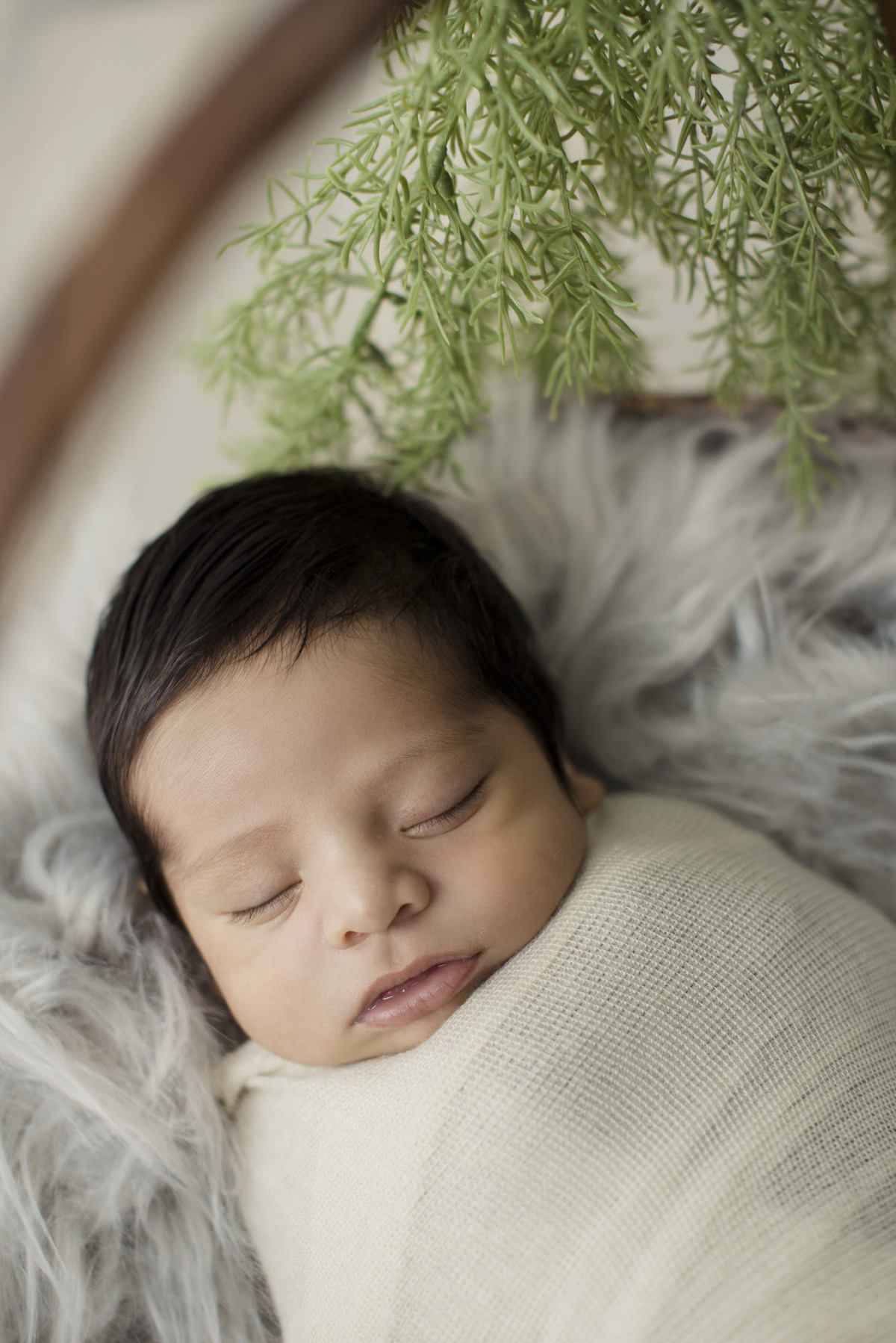 Fotos bebes recien nacido la paz bolivia fotografia de familias, fotografia de bebes, pkl fotografía 