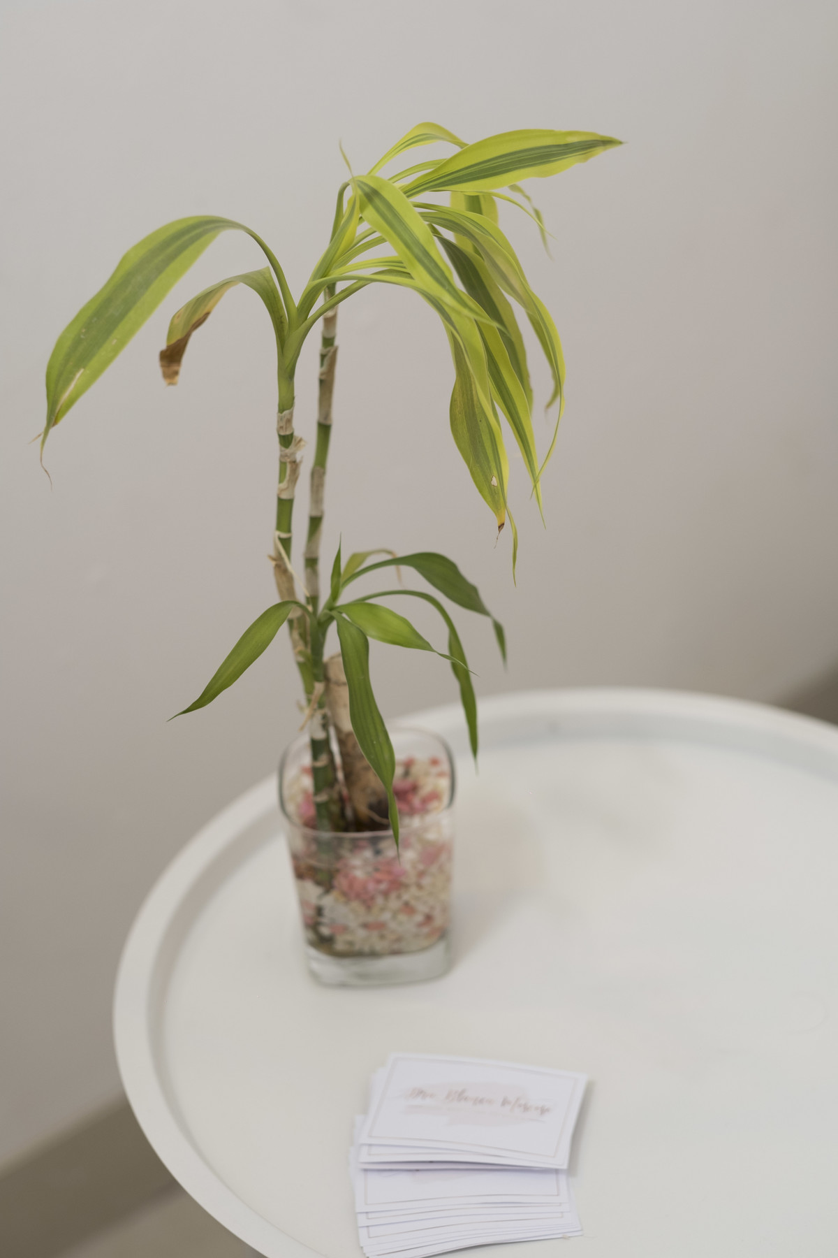 Retratos profesionales, medicina estetica Fotografo La Paz Bolivia 