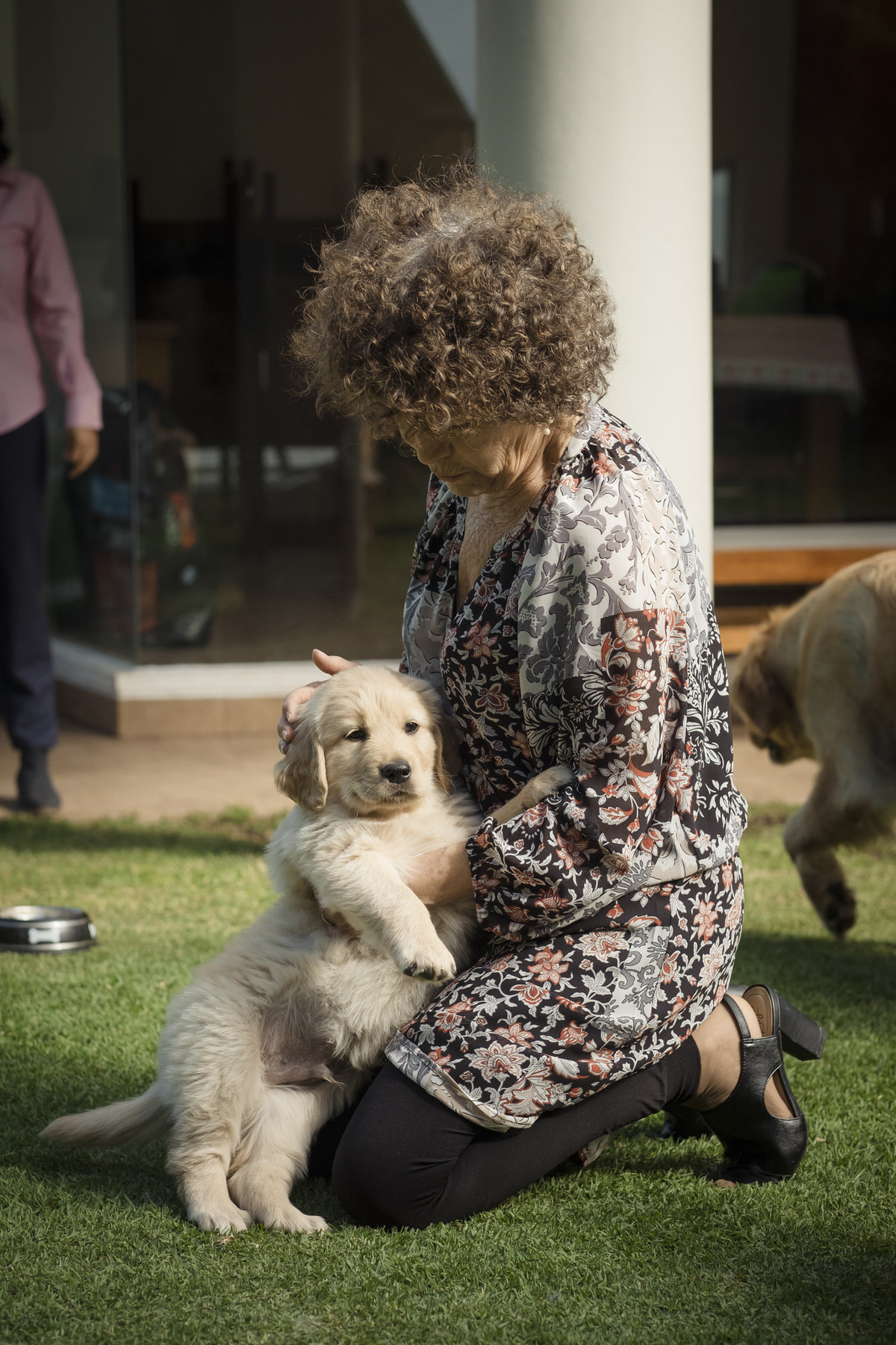 Fotografía de mascotas, fotos de perros, golden retriever bolivia, Pkl Fotografía La Paz Bolivia fotografia de familias 