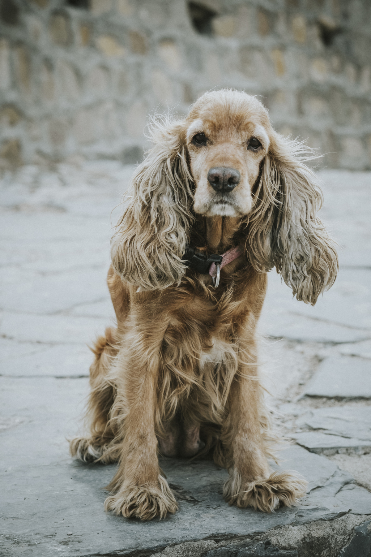 fotos de familia, fotografia de familia La Paz Bolivia 