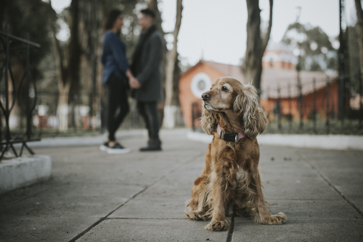 fotos de familia, fotografia de familia La Paz Bolivia 