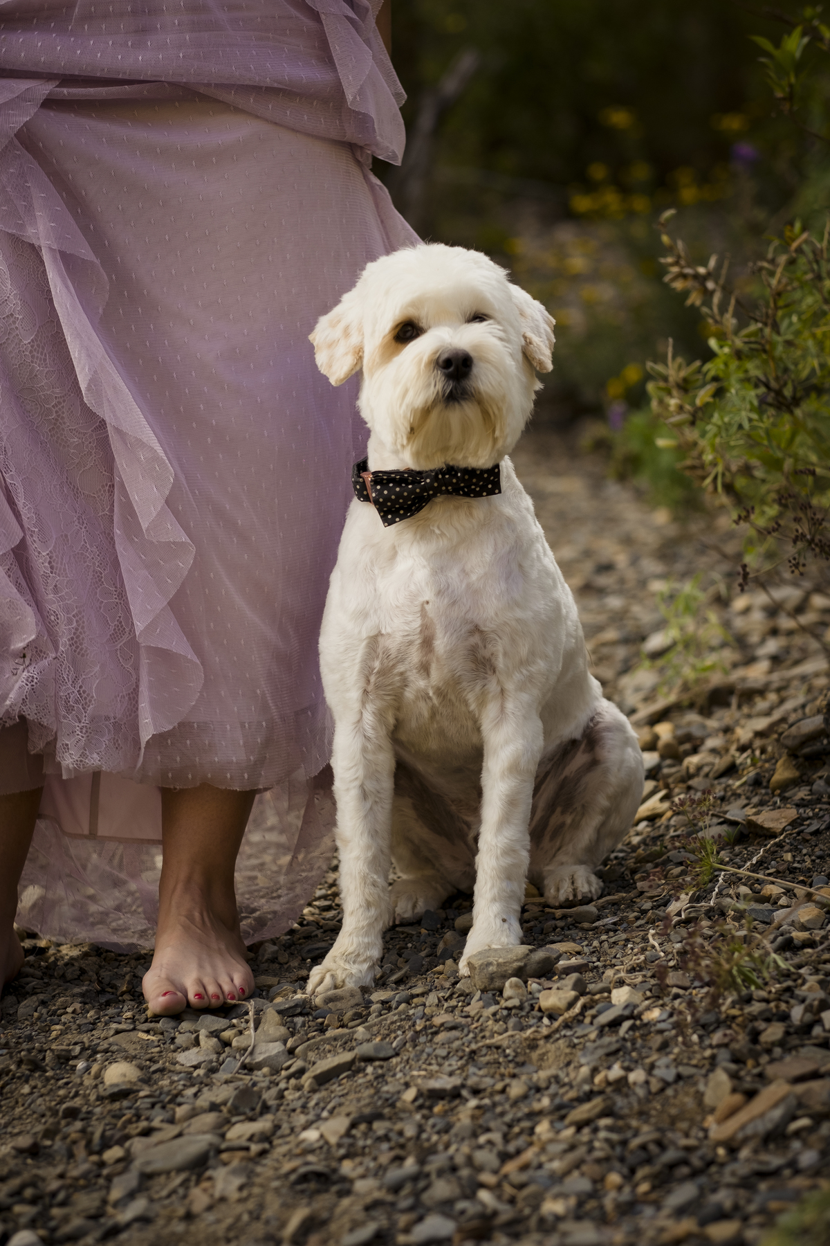 fotografia de bodas, fotografia de parejas, La Paz Bolivia, Pkl Fotografía, Fotografo de bodas La Paz Bolivia, Fotos de bodas La Paz Bolivia 