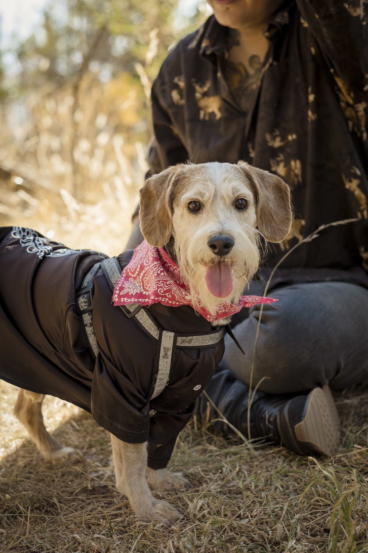 fotografía de familia, fotografia de mascotas, fotografo de familia La Paz Bolivia