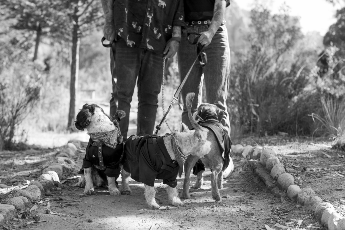 fotografía de familia, fotografia de mascotas, fotografo de familia La Paz Bolivia
