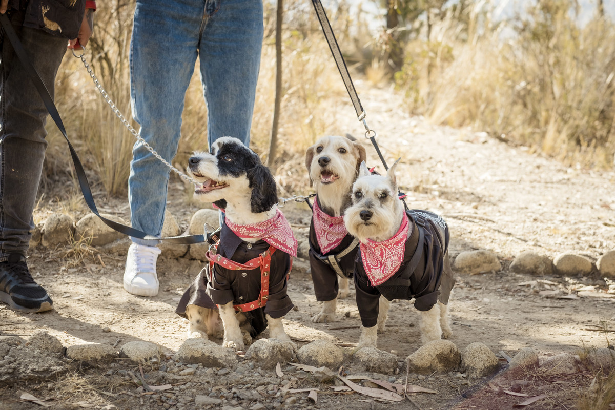 fotografía de familia, fotografia de mascotas, fotografo de familia La Paz Bolivia