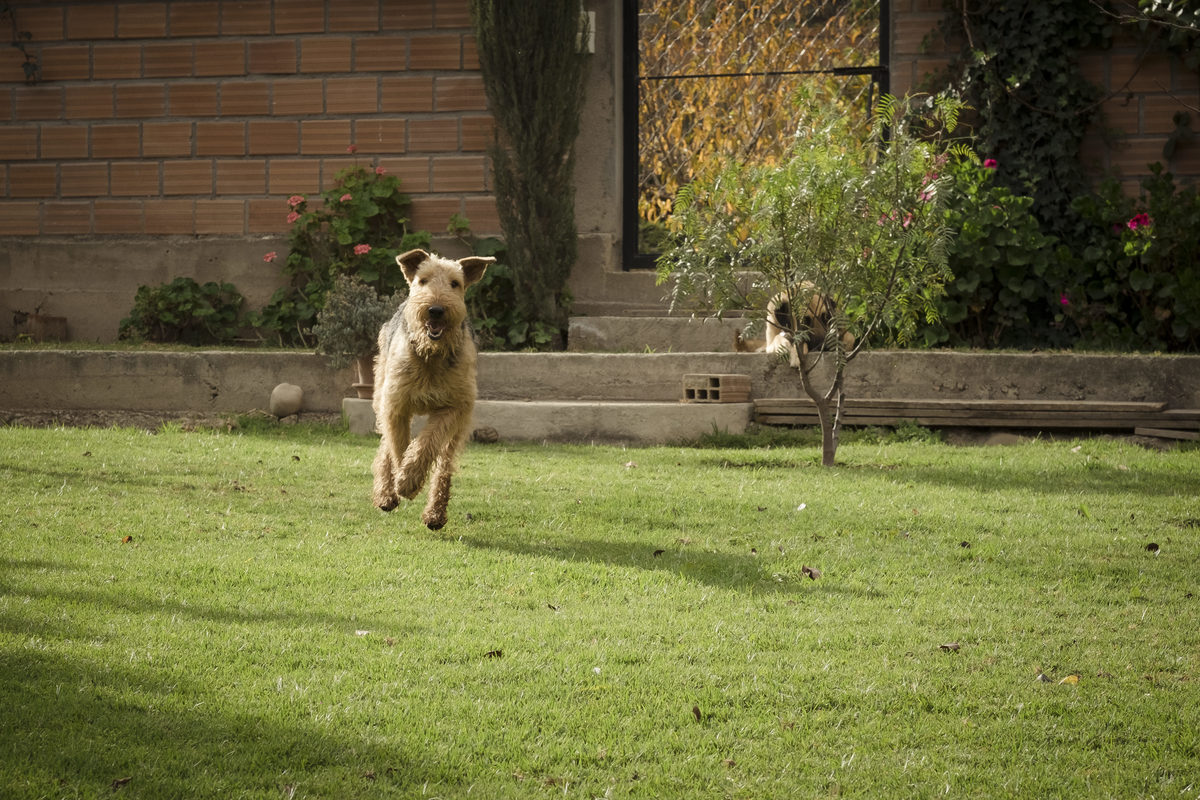 Sesion de maternidad, fotografia de embarazo , fotografo de familia , la paz bolivia