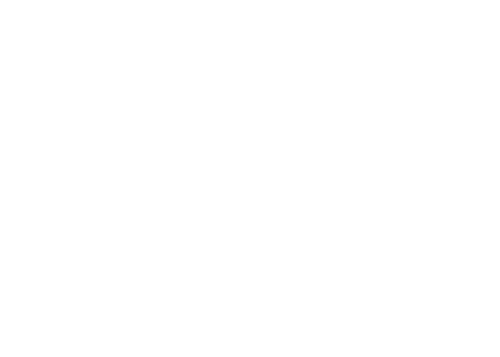 Logotipo de Adriane Fotografia