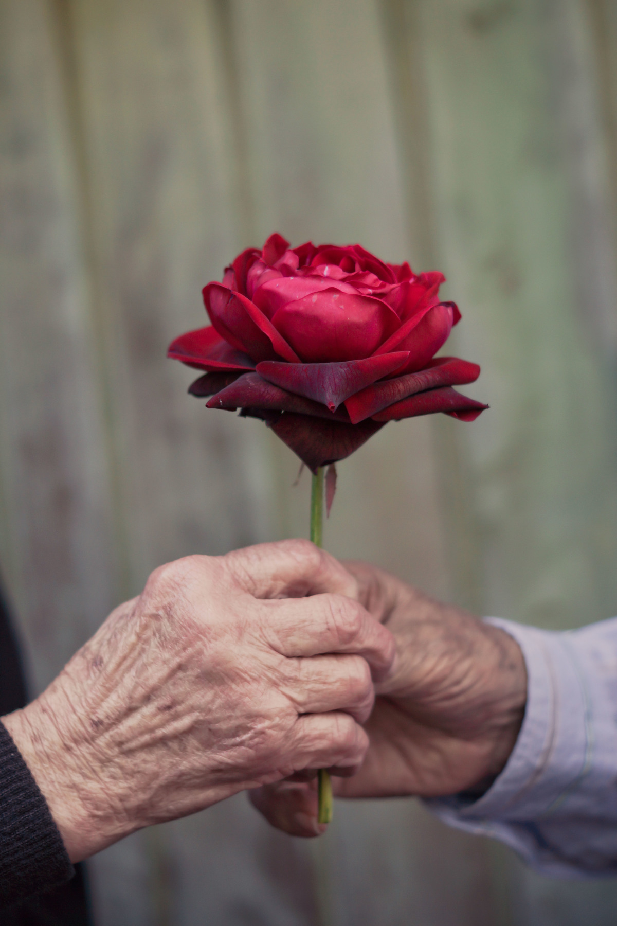 70 Anos de Matrimônio