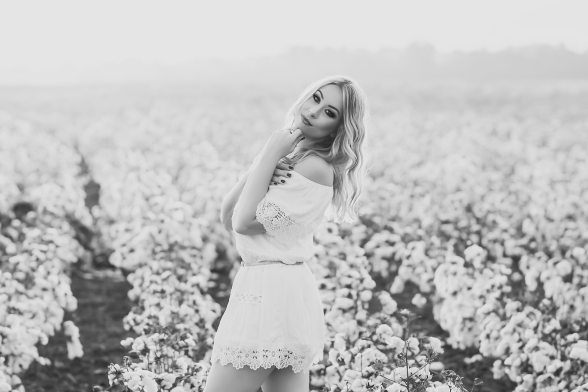 sessão no campo de algodão