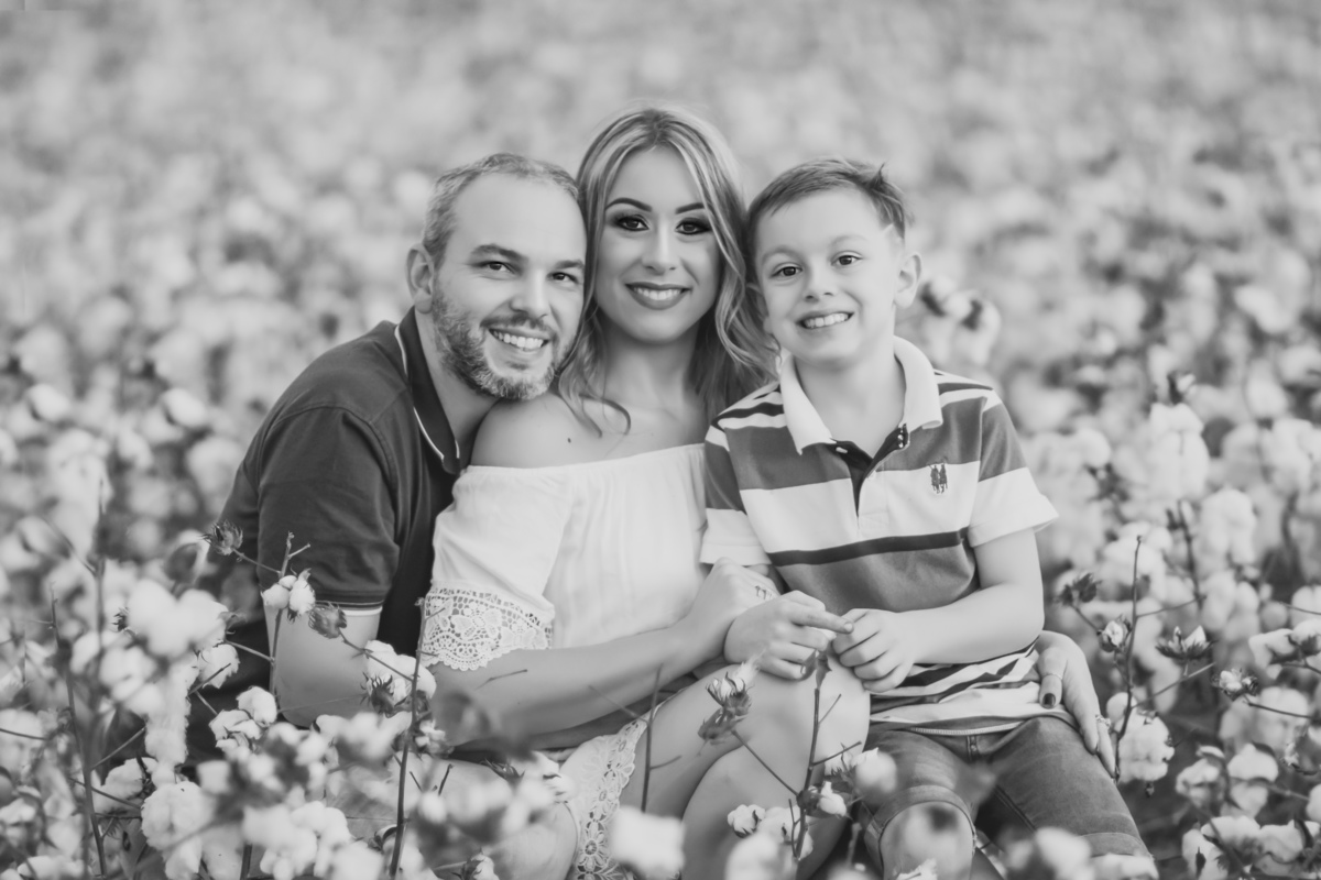 campo de algodão fotografia