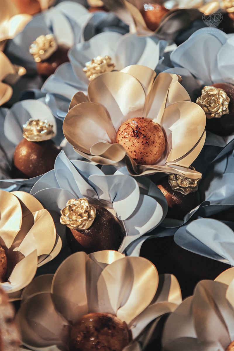 aniversaio de 15 anos debutante veste Guga Cardoso vestido de cinderela e festa tematica organizada por Danilo Monteiro eventos e fotografada pela fotografa premiada Nayara Andrade fotografia fotos artisticas do 15zao da Duda