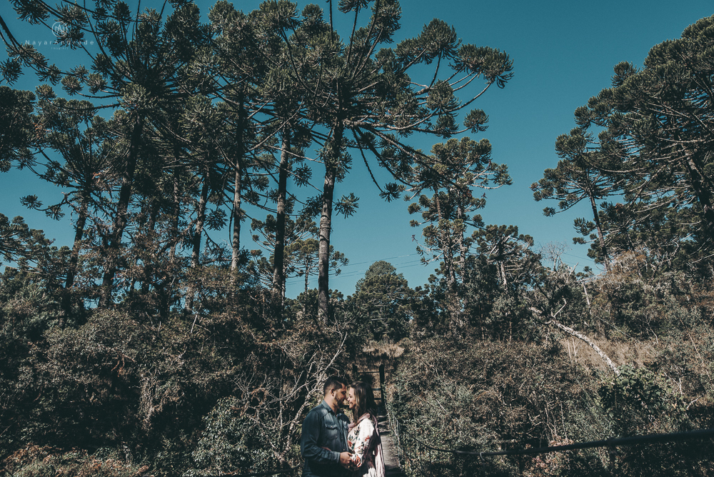 Pre wedding campos do jordão