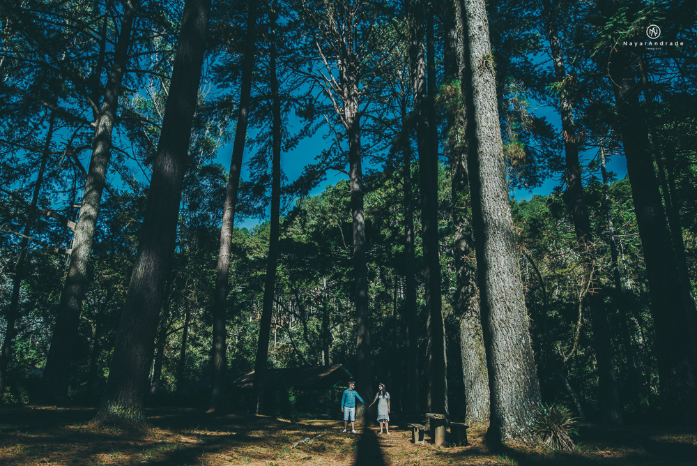 Pre-wedding-em-campos-do-jordão-casal-apaixonado-frio-amo-nayarandrade-imagiart-ensaio-casal