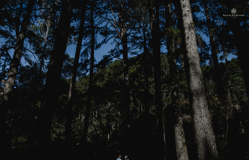 Pre-wedding-em-campos-do-jordão-casal-apaixonado-frio-amo-nayarandrade-imagiart-ensaio-casal