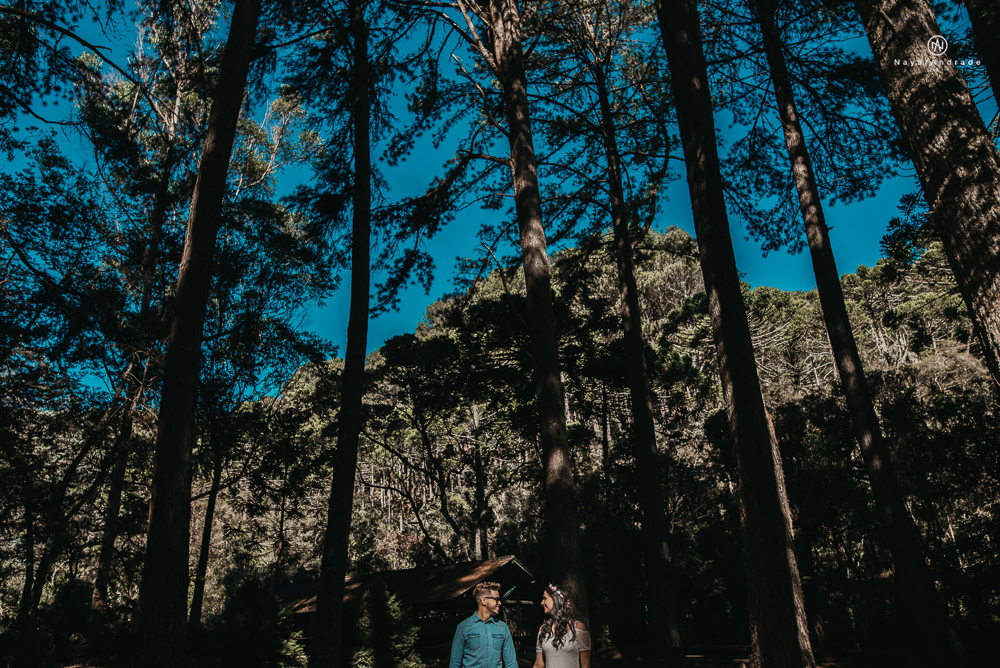 Pre-wedding-em-campos-do-jordão-casal-apaixonado-frio-amo-nayarandrade-imagiart-ensaio-casal