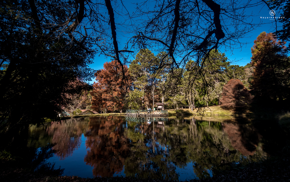 Pre-wedding-em-campos-do-jordão-casal-apaixonado-frio-amo-nayarandrade-imagiart-ensaio-casal