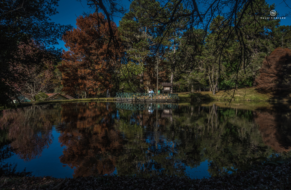 Pre-wedding-em-campos-do-jordão-casal-apaixonado-frio-amo-nayarandrade-imagiart-ensaio-casalv