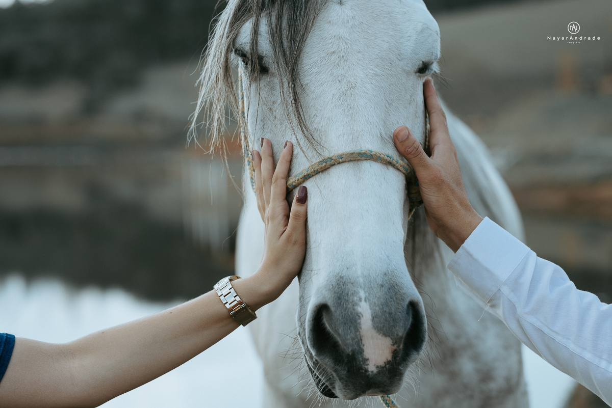 Foto-de-ensaio-casal-ao-ar-livre-com-cavalos-no-interior-de-sao-paulo-com-sol-nayarandrade-imagiart-casal-apaixonado-em-lindoia