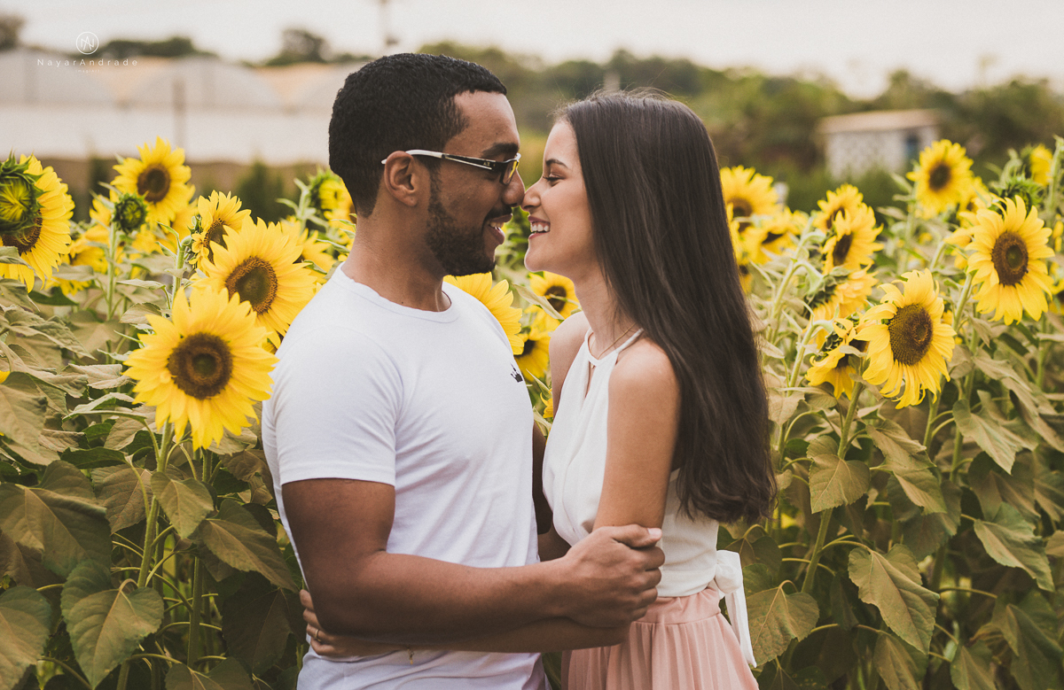 Pre-weddgin em Holambra cidade das flores,com um lindo por do Sol, um casal feliz e apaixonado, muito amor por todo lado. Fotografia nayarandrade imagiart ensaios e casamentos. Santos -São Paulo-Brasil