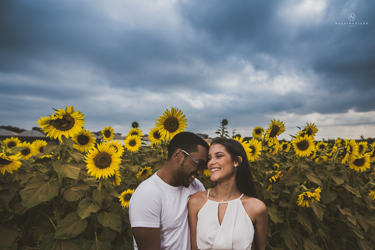 Pre-weddgin em Holambra cidade das flores,com um lindo por do Sol, um casal feliz e apaixonado, muito amor por todo lado. Fotografia nayarandrade imagiart ensaios e casamentos. Santos -São Paulo-Brasil