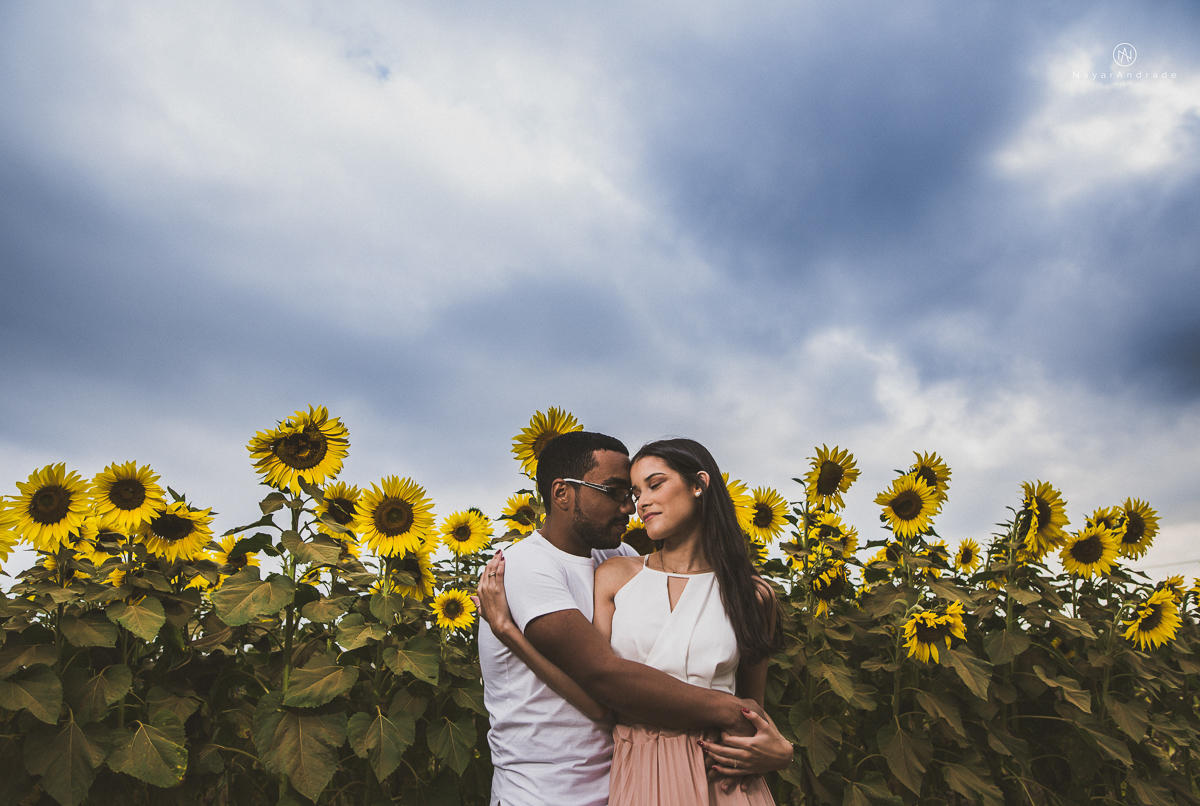 Pre-weddgin em Holambra cidade das flores,com um lindo por do Sol, um casal feliz e apaixonado, muito amor por todo lado. Fotografia nayarandrade imagiart ensaios e casamentos. Santos -São Paulo-Brasil