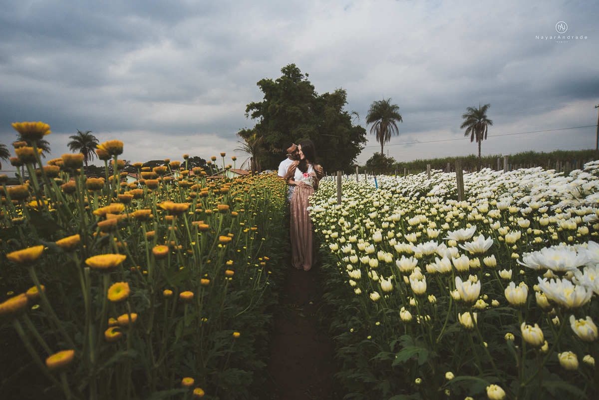 Pre-weddgin em Holambra cidade das flores,com um lindo por do Sol, um casal feliz e apaixonado, muito amor por todo lado. Fotografia nayarandrade imagiart ensaios e casamentos. Santos -São Paulo-Brasil
