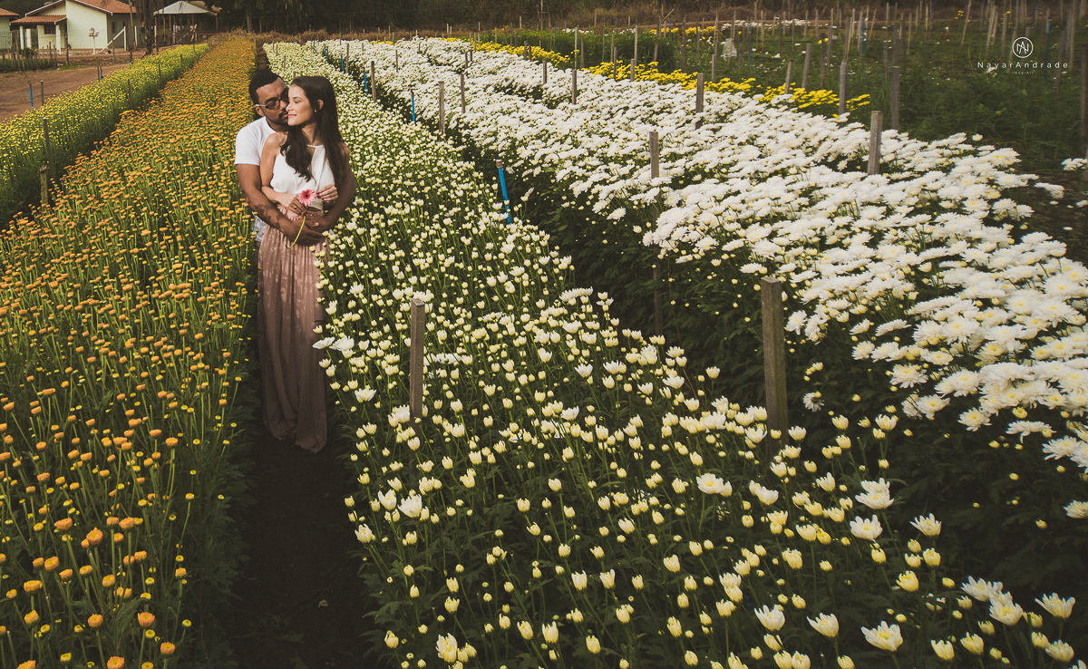 Pre-weddgin em Holambra cidade das flores,com um lindo por do Sol, um casal feliz e apaixonado, muito amor por todo lado. Fotografia nayarandrade imagiart ensaios e casamentos. Santos -São Paulo-Brasil