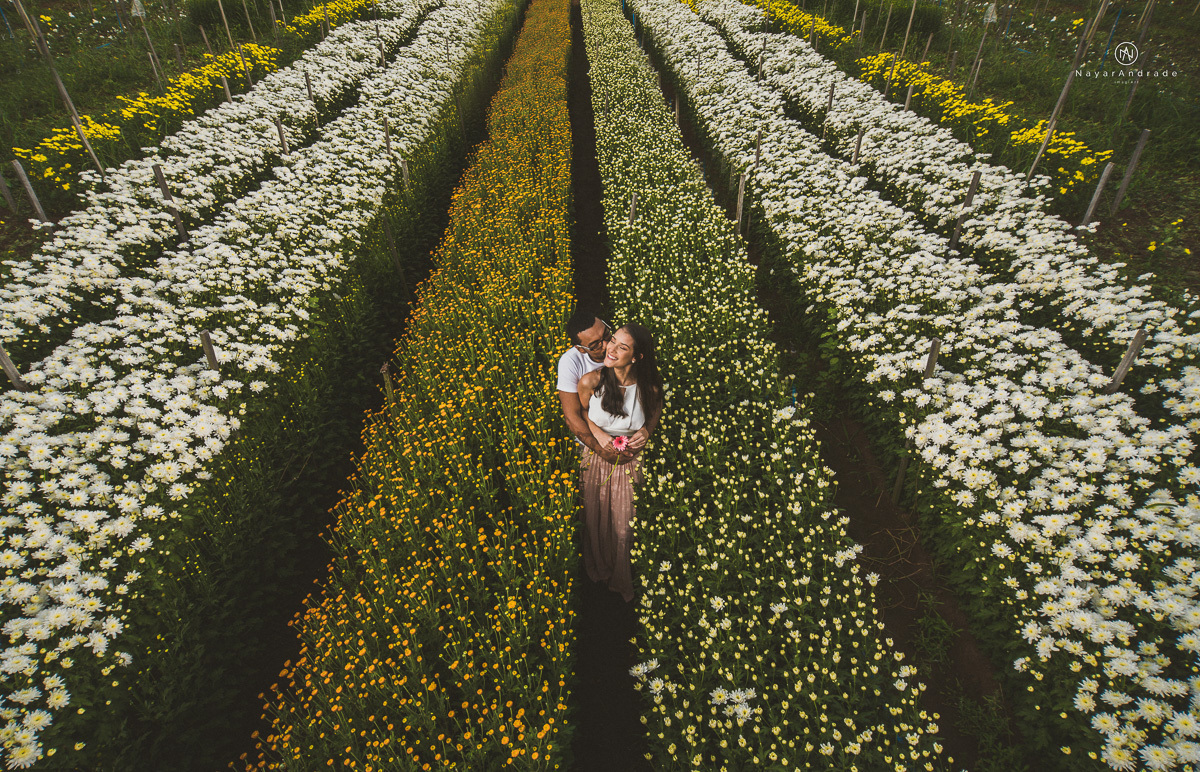 Pre-weddgin em Holambra cidade das flores,com um lindo por do Sol, um casal feliz e apaixonado, muito amor por todo lado. Fotografia nayarandrade imagiart ensaios e casamentos. Santos -São Paulo-BrasilPre-weddgin em Holambra cidade das flores,com um lindo