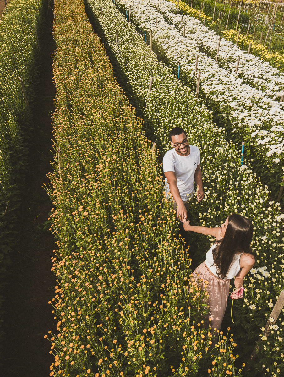 Pre-weddgin em Holambra cidade das flores,com um lindo por do Sol, um casal feliz e apaixonado, muito amor por todo lado. Fotografia nayarandrade imagiart ensaios e casamentos. Santos -São Paulo-Brasil