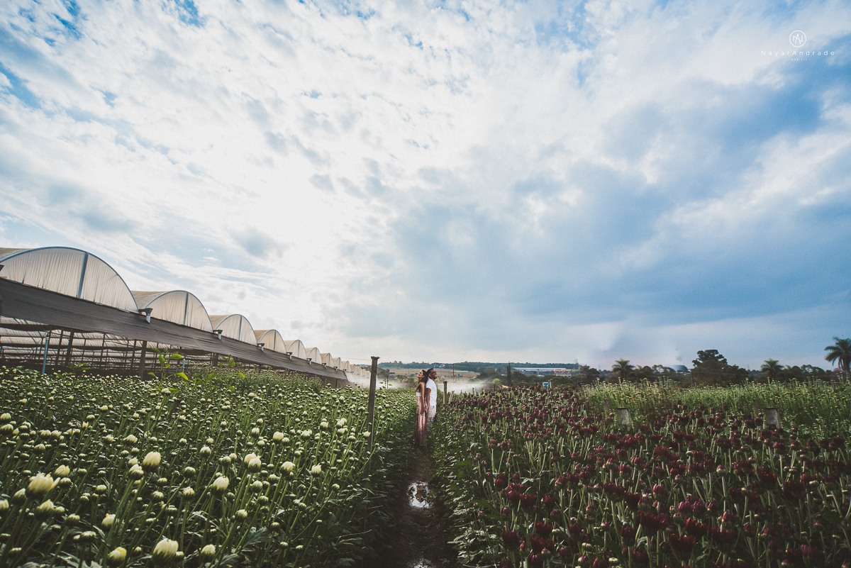 Pre-weddgin em Holambra cidade das flores,com um lindo por do Sol, um casal feliz e apaixonado, muito amor por todo lado. Fotografia nayarandrade imagiart ensaios e casamentos. Santos -São Paulo-Brasil