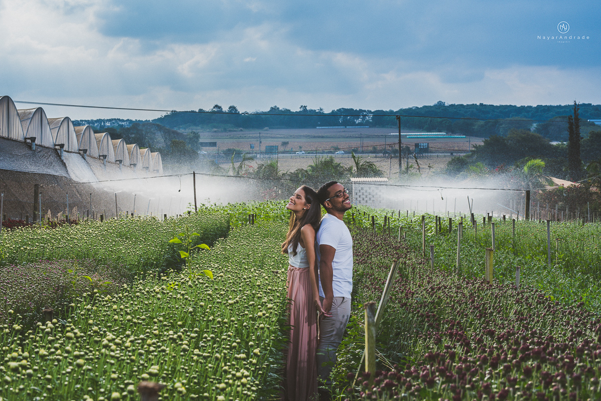 Pre-weddgin em Holambra cidade das flores,com um lindo por do Sol, um casal feliz e apaixonado, muito amor por todo lado. Fotografia nayarandrade imagiart ensaios e casamentos. Santos -São Paulo-Brasil