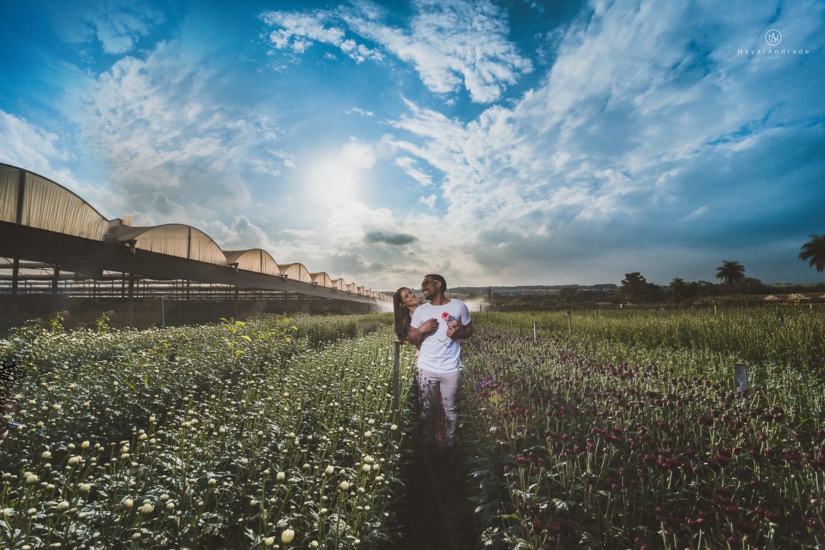 Pre-weddgin em Holambra cidade das flores,com um lindo por do Sol, um casal feliz e apaixonado, muito amor por todo lado. Fotografia nayarandrade imagiart ensaios e casamentos. Santos -São Paulo-Brasil