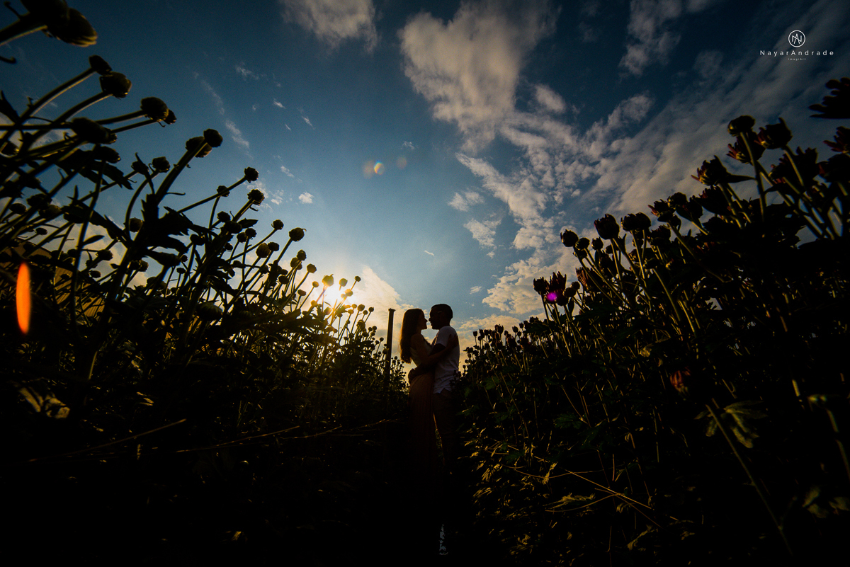 Pre-weddgin em Holambra cidade das flores,com um lindo por do Sol, um casal feliz e apaixonado, muito amor por todo lado. Fotografia nayarandrade imagiart ensaios e casamentos. Santos -São Paulo-Brasil