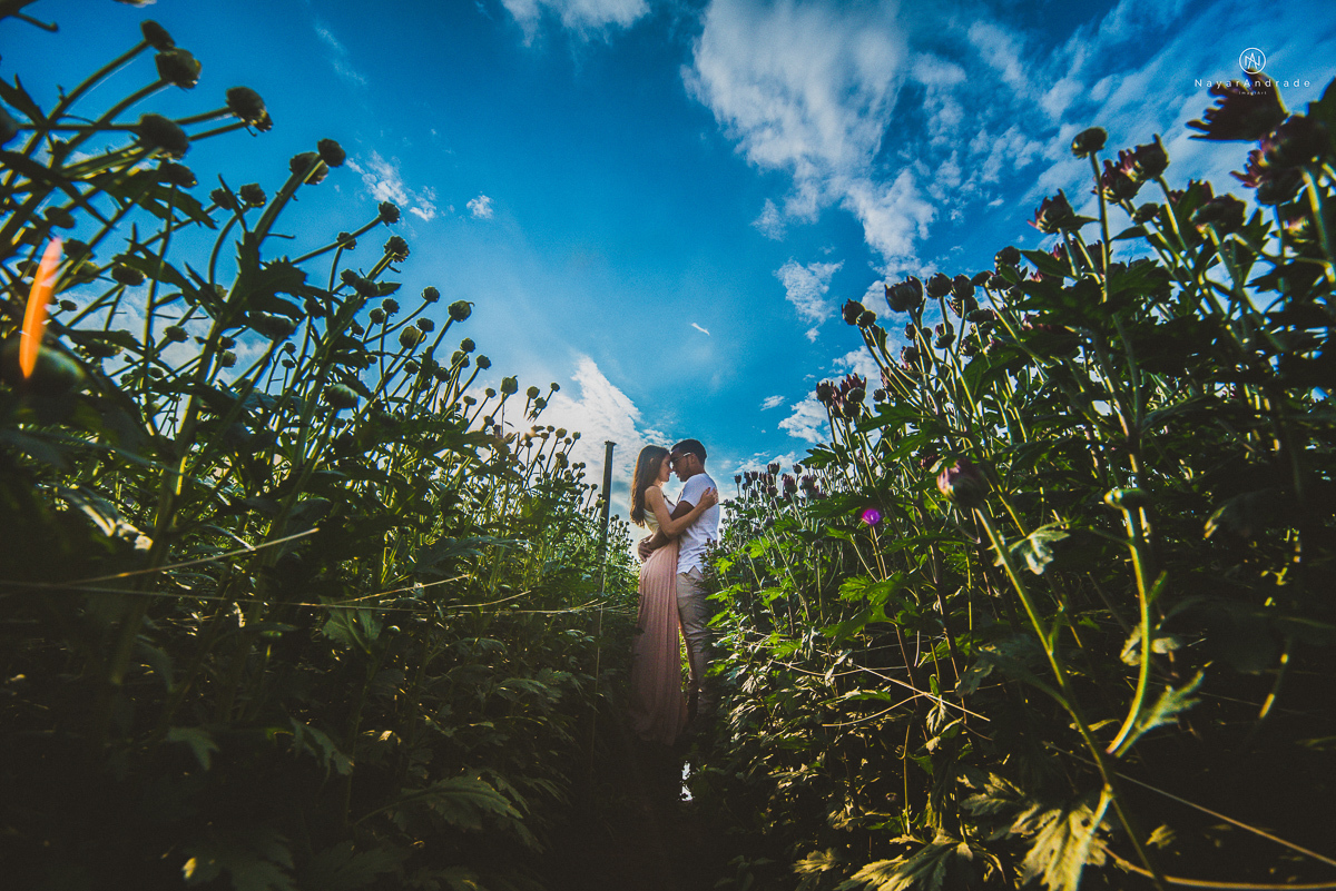 Pre-weddgin em Holambra cidade das flores,com um lindo por do Sol, um casal feliz e apaixonado, muito amor por todo lado. Fotografia nayarandrade imagiart ensaios e casamentos. Santos -São Paulo-Brasil