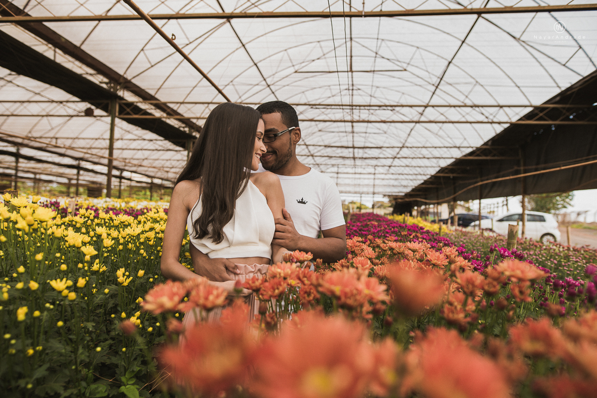 Pre-weddgin em Holambra cidade das flores,com um lindo por do Sol, um casal feliz e apaixonado, muito amor por todo lado. Fotografia nayarandrade imagiart ensaios e casamentos. Santos -São Paulo-Brasil