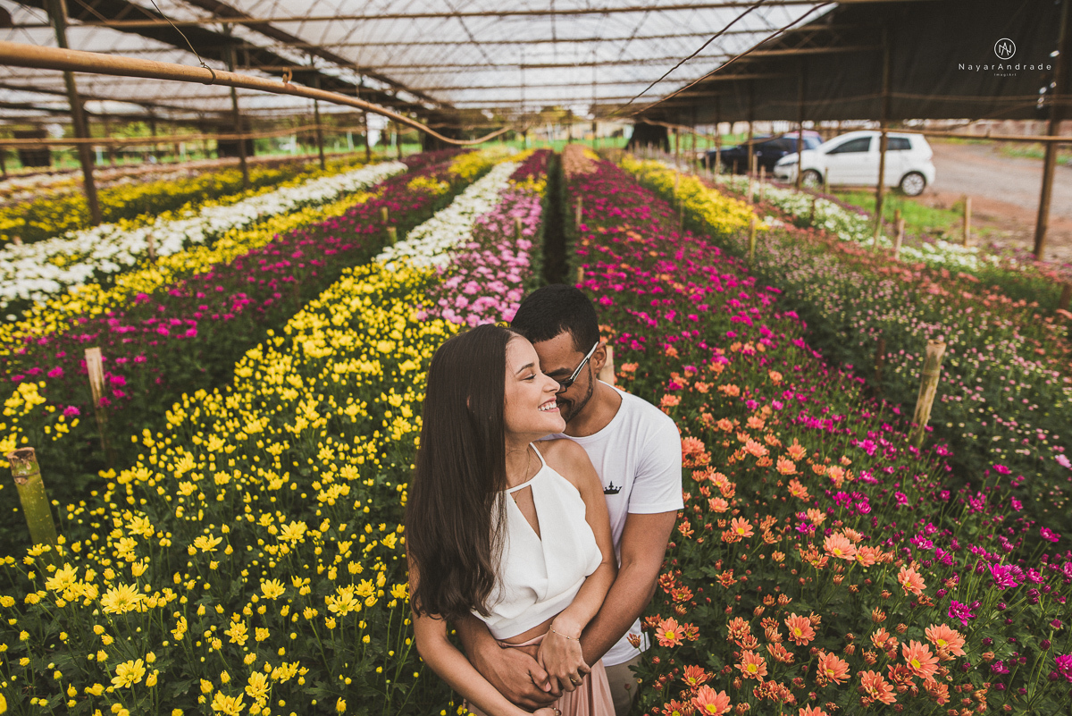 Pre-weddgin em Holambra cidade das flores,com um lindo por do Sol, um casal feliz e apaixonado, muito amor por todo lado. Fotografia nayarandrade imagiart ensaios e casamentos. Santos -São Paulo-Brasil