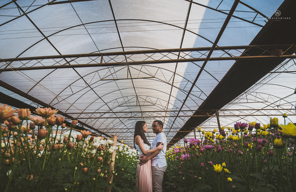 Pre-weddgin em Holambra cidade das flores,com um lindo por do Sol, um casal feliz e apaixonado, muito amor por todo lado. Fotografia nayarandrade imagiart ensaios e casamentos. Santos -São Paulo-Brasil