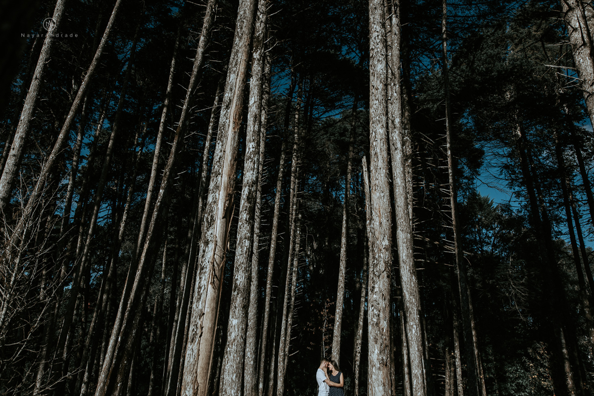 Ensaio casal fim de tarde em campos do Jordão nas folhas, arvores e muito amor envolvido.