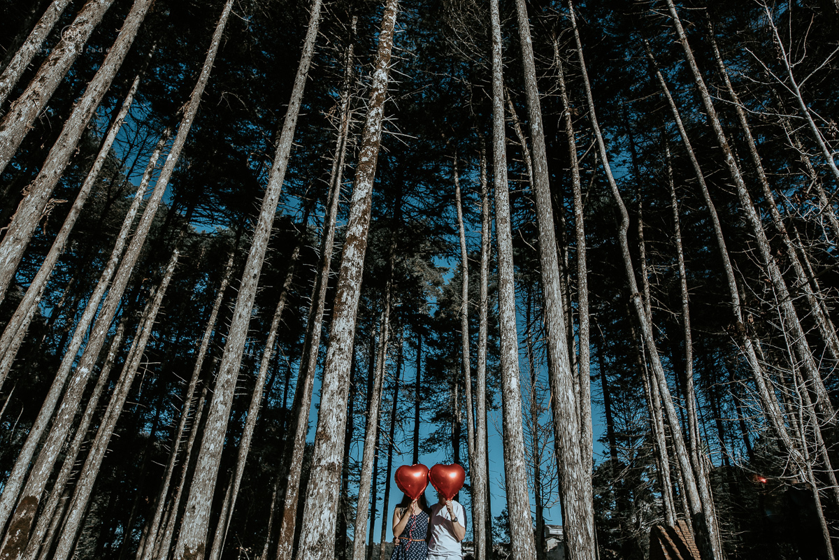 Ensaio casal fim de tarde em campos do Jordão nas folhas, arvores e muito amor envolvido.