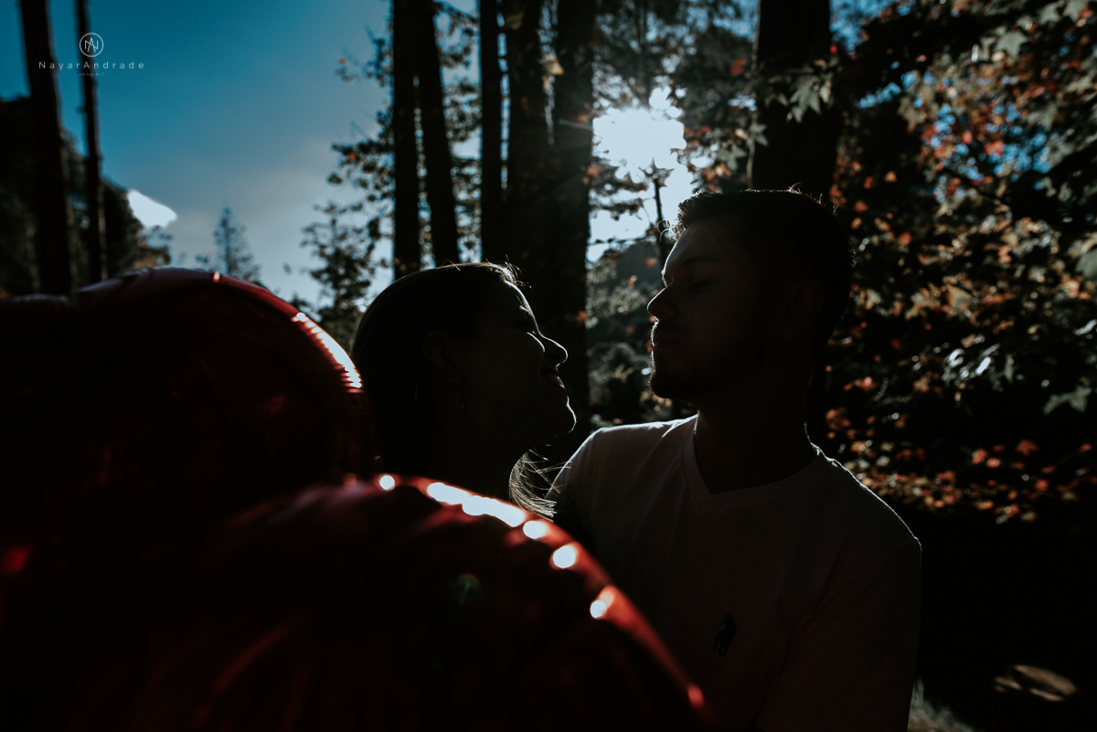 Ensaio casal fim de tarde em campos do Jordão nas folhas, arvores e muito amor envolvido.